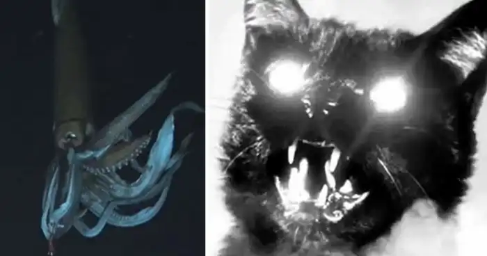 13 жутких фактов, которые не получится забыть при всем желании