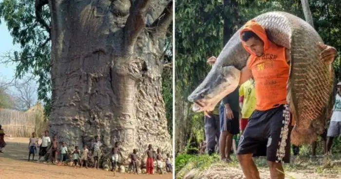 15 фотографий, доказывающих, что всё познаётся в сравнении