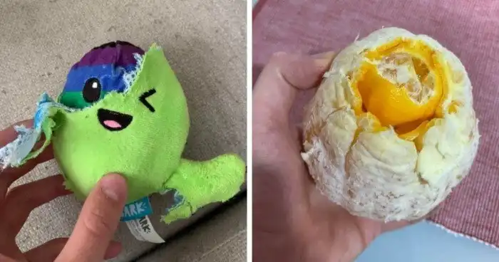 Неожиданные находки внутри разобранных или сломанных вещей