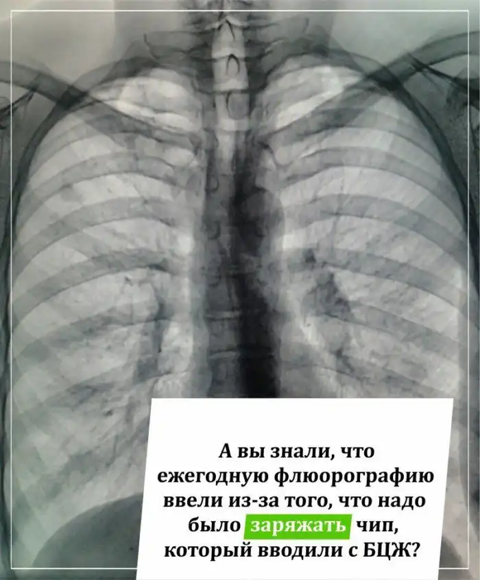 Вход рептилоидам воспрещён: всё о теориях заговора