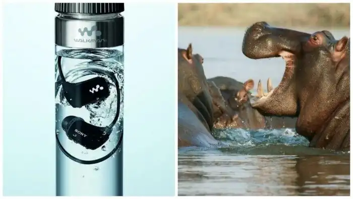 30 фактов, показывающих, что узнавать новое никогда не поздно