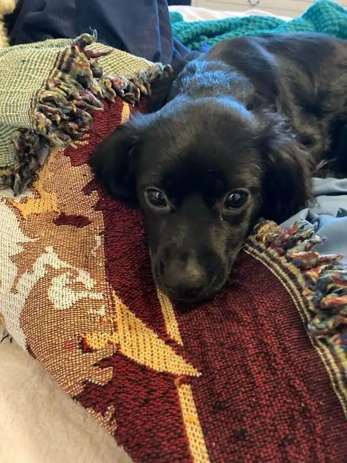 50 крутых вещей, найденных на свалке