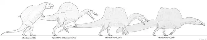 Спинозавр: От жирной морской коровы до титанического тритона. Как изменилась внешность популярного динозавра за 100 лет?
