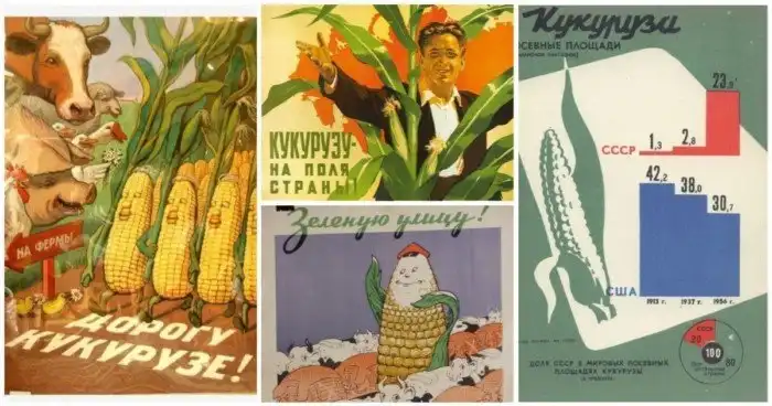 Активная кукурузина, которую совали во все щели