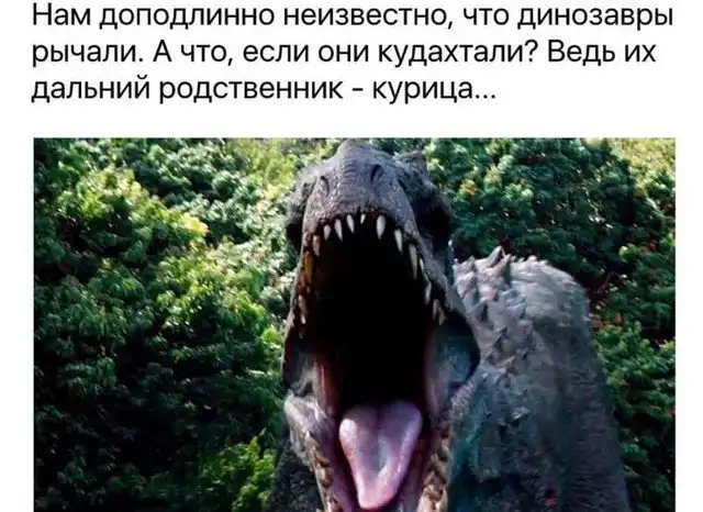 Новая порция забавных философских размышлений