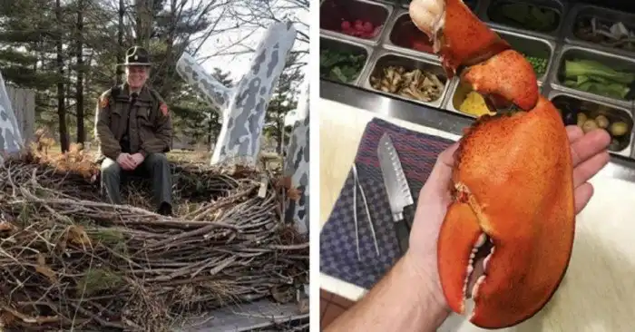 22 по-настоящему крупных штуковины