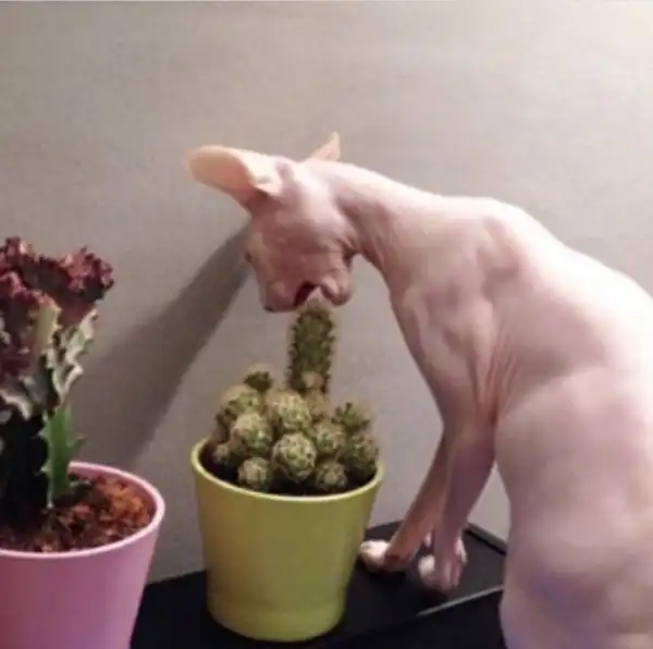 Подборка фотографий из серии "за секунду до..."