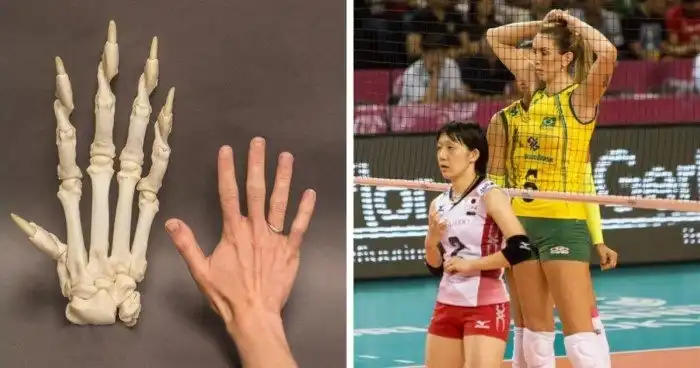 Всё в мире относительно и познаётся в сравнении