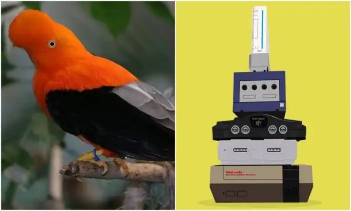 20+ любопытных фактов обо всём, которые пополнят копилку знаний