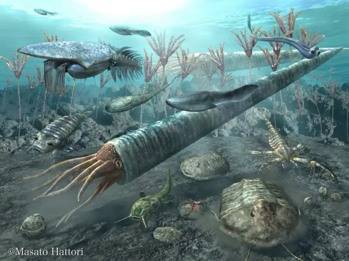 Камероцерас: В тёмную эпоху, когда ещё не было рыб, океаном правил 10-ти метровый кракен в виде конуса