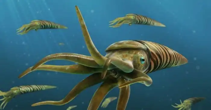 Камероцерас: В тёмную эпоху, когда ещё не было рыб, океаном правил 10-ти метровый кракен в виде конуса