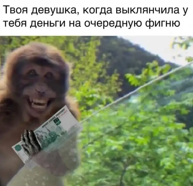 Мемы и приколы про отношения и "кое-что еще"