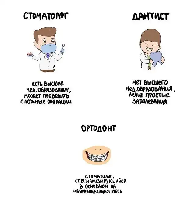 "Не перепутай!": забавные подсказки о вещах и понятиях, которые люди часто путают