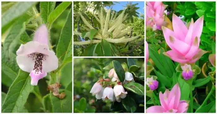 Как оно цветет: 20 продуктов питания, которые пока еще нельзя есть