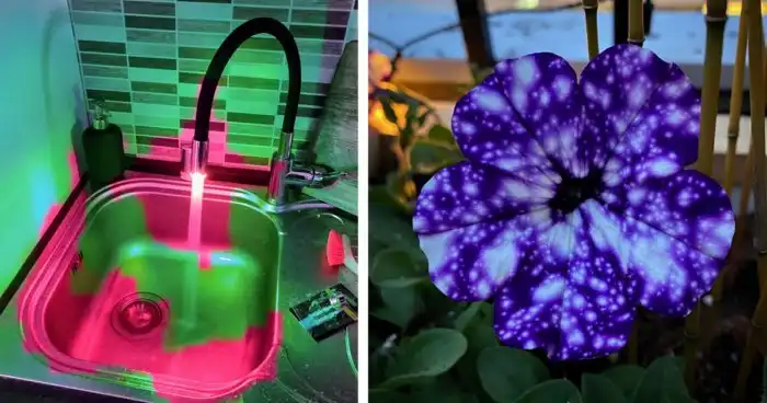 25 классных фото, на которые интересно взглянуть