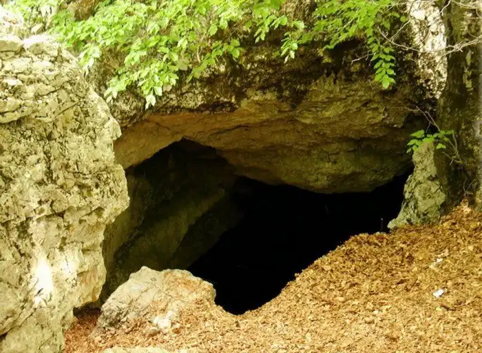 Фауна глубоких пещер: Как выглядят животные подземного мира?