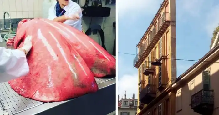 Не каждый день такое увидишь: 27 фото, которые вас удивят