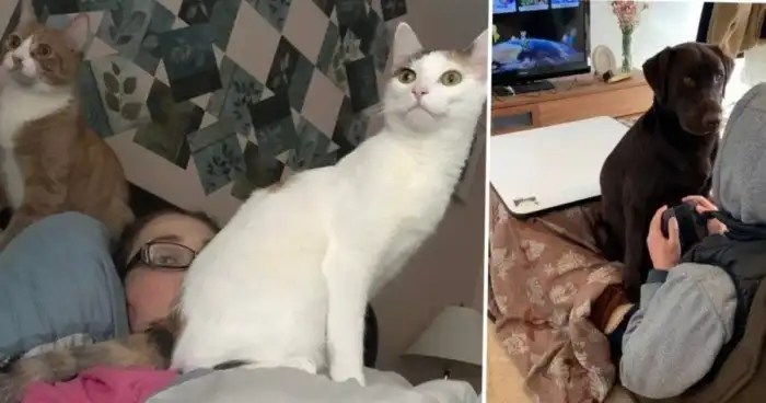 15 доказательств того, что "личное пространство" для животных - пустой звук