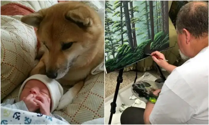 20 добрых фото, которые доказывают, что в мире есть место для позитива