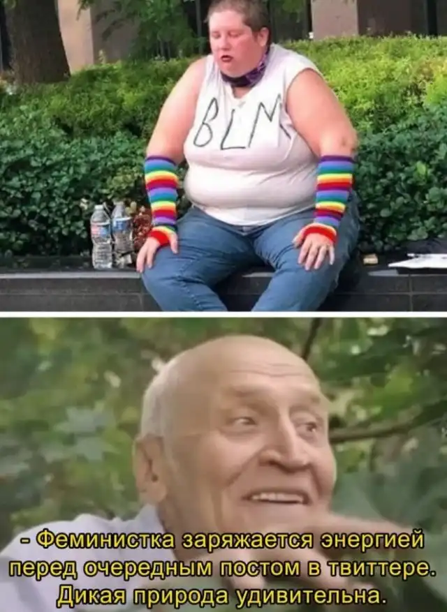 Приколы и мемы про феминисток