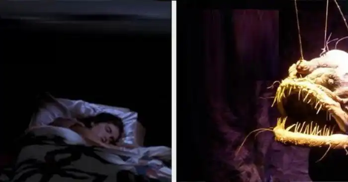 15 фактов, от которых мороз по коже