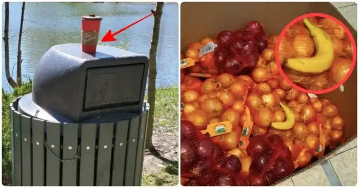 13 людей, которые живут в обществе, а не в хлеву, но ведут себя как настоящие свиньи