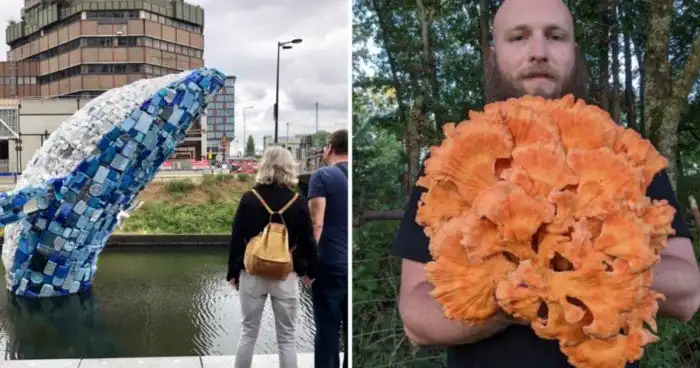 15 фотографий необычных находок