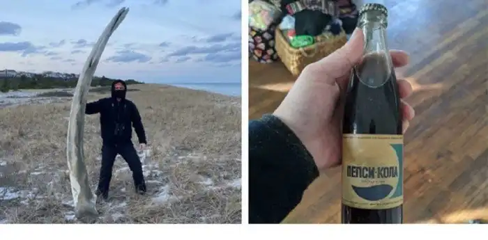 25 ну совсем неожиданных находок