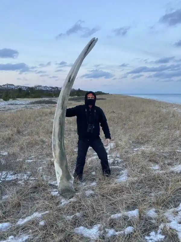 25 ну совсем неожиданных находок