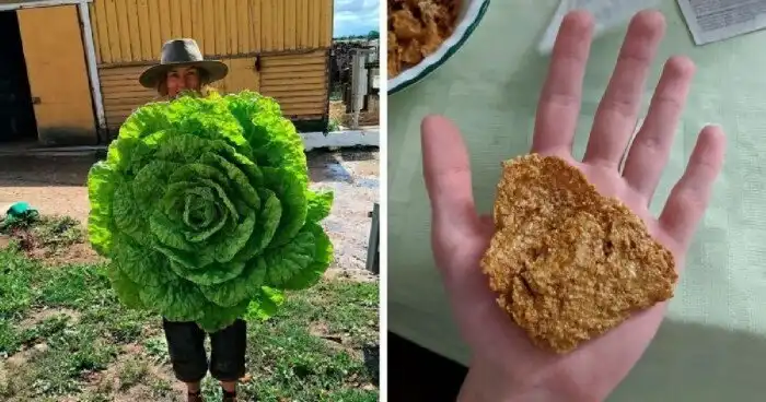 30 съедобных сюрпризов, оказавшихся большой неожиданностью