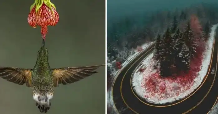 15 познавательных снимков, которые помогут взглянуть на мир по-новому