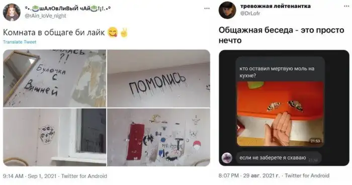 Подсмотрено в общаге: девушки, тараканы и быстрая лапша