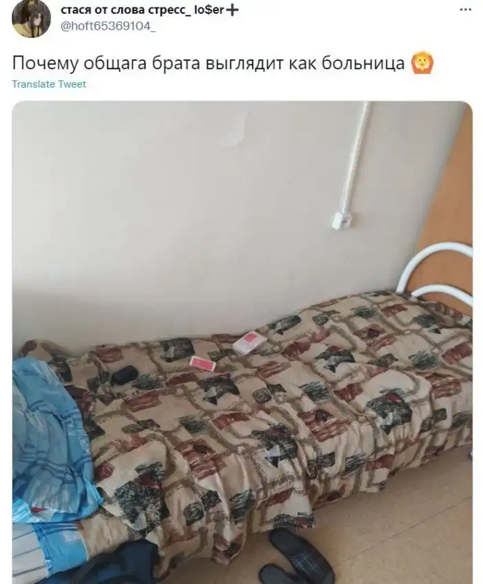 Подсмотрено в общаге: девушки, тараканы и быстрая лапша