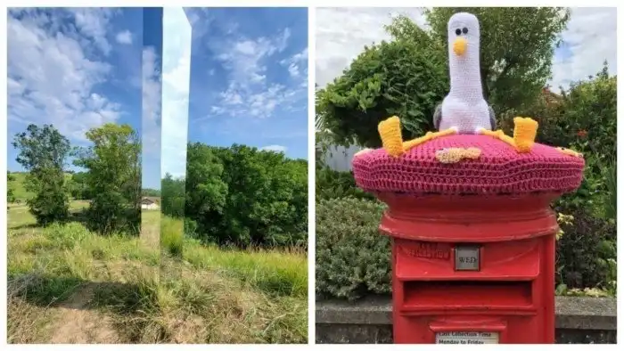 С миру по нитке: 25 интересных фотографий обо всем на свете