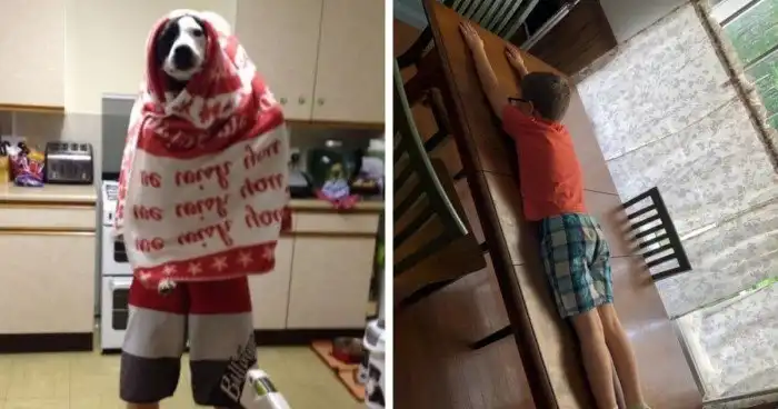 16 мужчин, которые исполнили просьбы жен не так, как те хотели