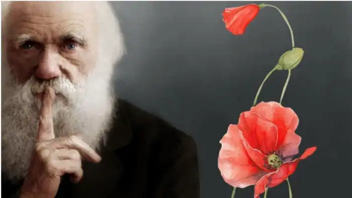 Отвратительная тайна Дарвина, которая уже 140 лет ставит учёных в тупик