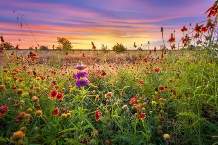 Отвратительная тайна Дарвина, которая уже 140 лет ставит учёных в тупик