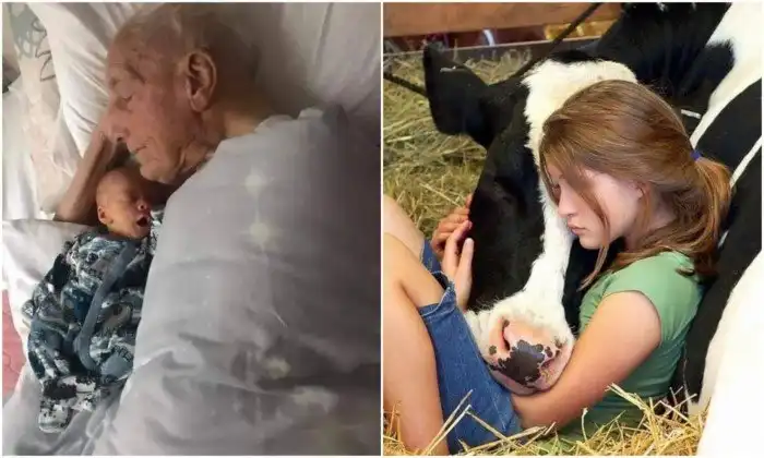 20+ добрых фотографий, которые поселят частичку тепла в сердце