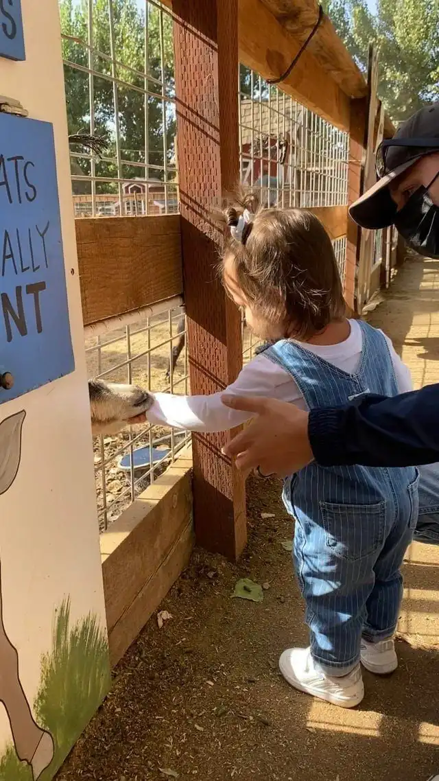 Забавные и эффектные снимки, которые получились уникальными благодаря случайности