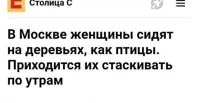 Прикольные заголовки из СМИ, которые привлекают внимание читателей