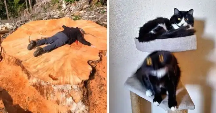 45 увлекательных фотосравнений из самых разных областей жизни