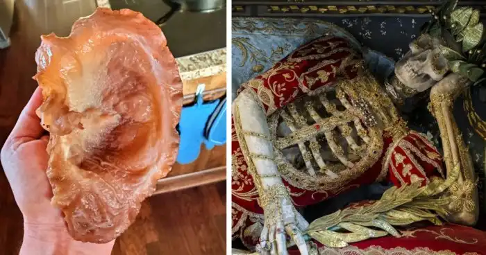 34 фото жутко занятных вещиц, которыми поделились пользователи сети