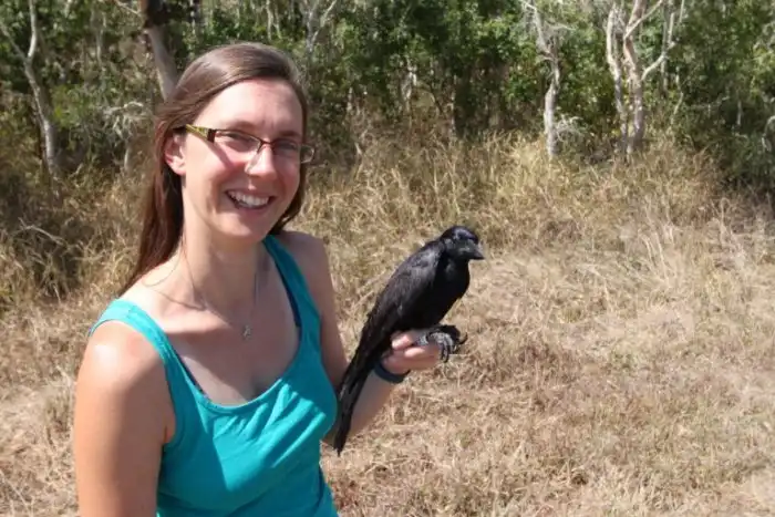 Новокаледонский ворон: Птица, которая уделала по интеллекту даже обезьян. На что способно одно из умнейших животных планеты