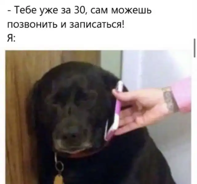 Шутки и мемы про взрослую жизнь