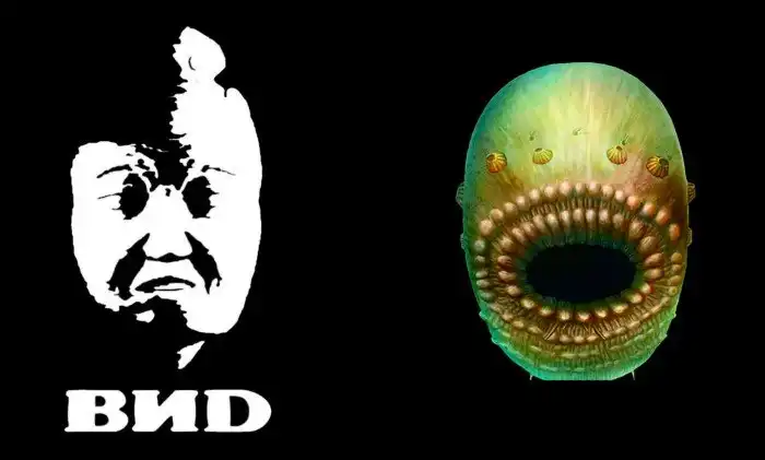 Саккоритус коронарис: Пугающее существо из древних отложений, которым 500 млн лет