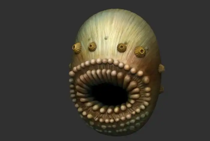 Саккоритус коронарис: Пугающее существо из древних отложений, которым 500 млн лет