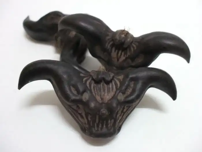 Чувствительным вход воспрещен: 25 обычных растений, которые выглядят мерзко