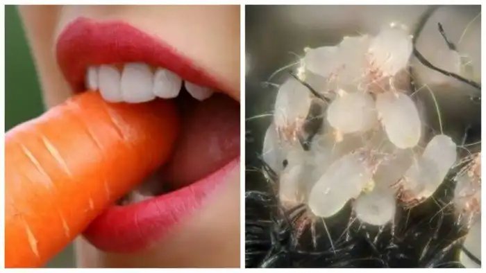 30 печальных, но достоверных фактов в вашу копилку знаний