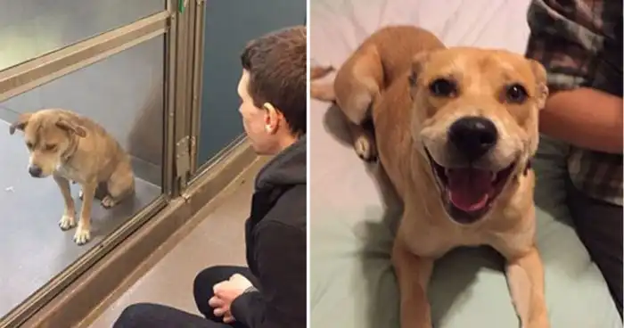 19 фото "до и после", которые точно вас порадуют