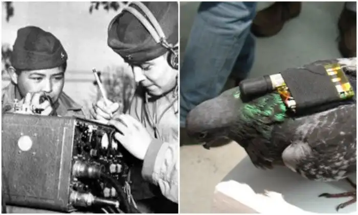 22 интересных и малоизвестных факта о Второй мировой войне